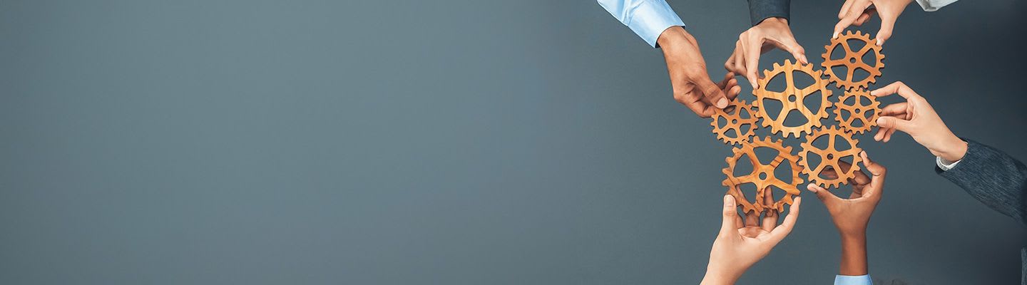 Picture of the author